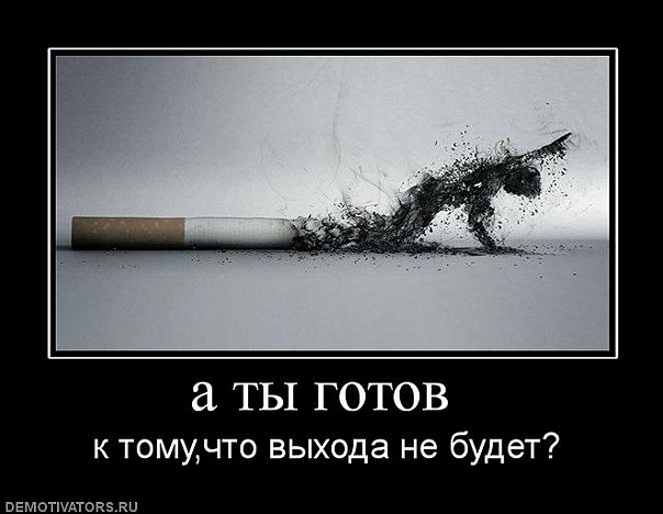 http://cs9280.vkontakte.ru/u60961718/100065820/x_ac92479b.jpg
