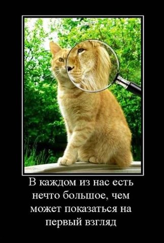 http://cs9280.vkontakte.ru/u60961718/100065820/x_e183f512.jpg